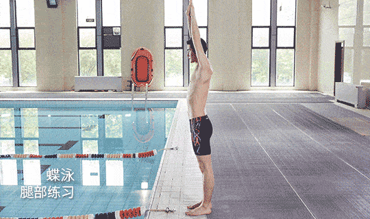 四种泳姿动态图教程 学好游泳就靠它了!