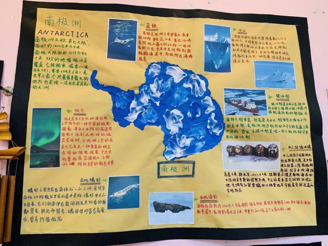 伊顿教学探索南极国际大五班
