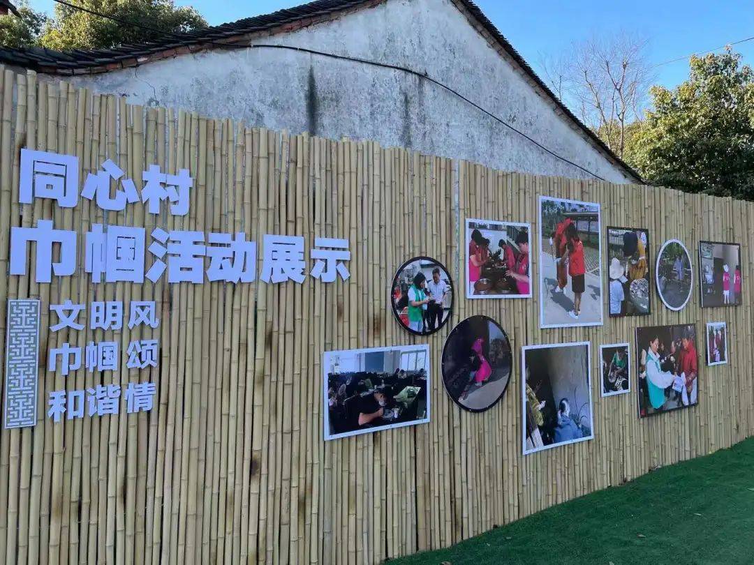优美庭院 | 嘉兴级"优美庭院"创建成果展播——梧桐街道同心村