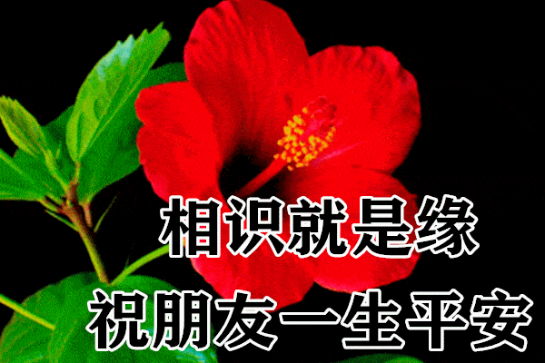 1月21日最漂亮早上好动态表情图片大全早晨好动图美图大全