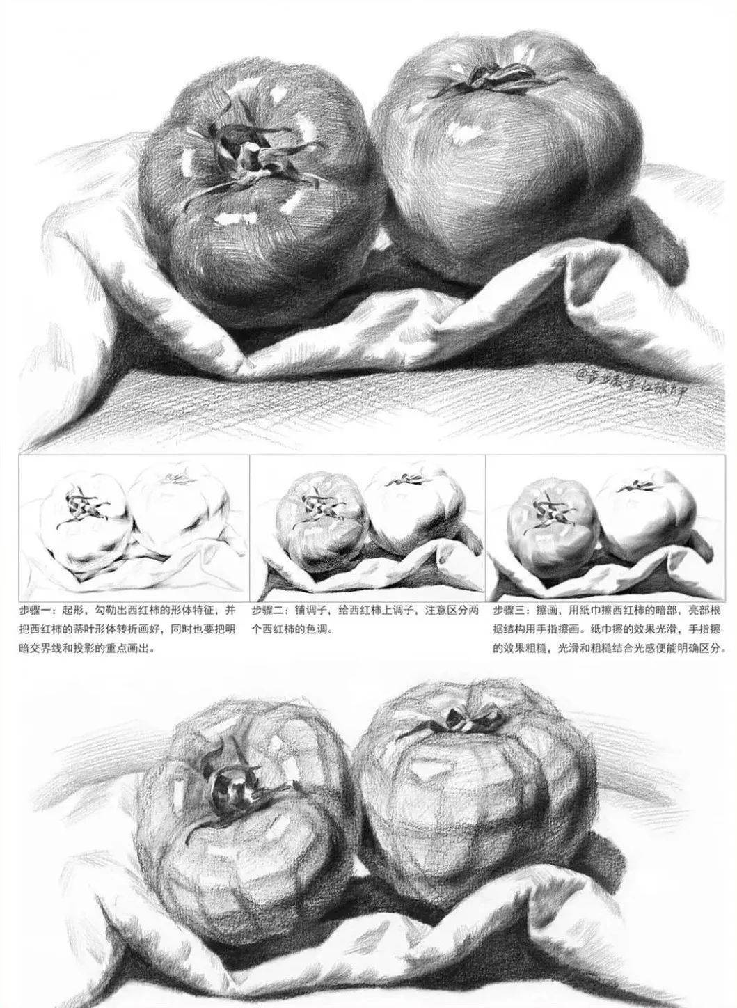 素描干货:常见水果,蔬菜,画法精解