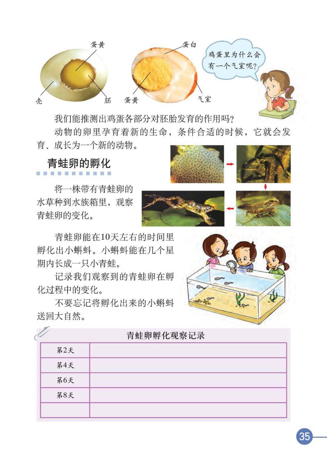 教科版四年级科学下册电子课本