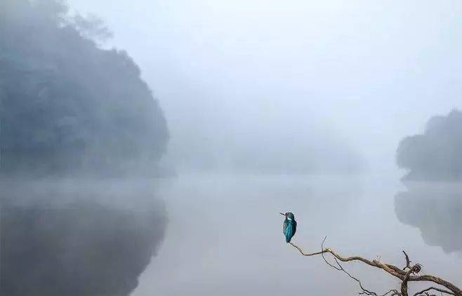 生活如海,宽容作舟,泛舟于海,方知海之宽阔;生活如山,宽容为径,循径