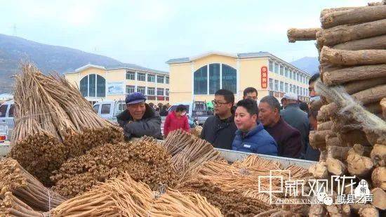 媒眼看岷县岷县产业遍地农户从日子不称心到致富达人