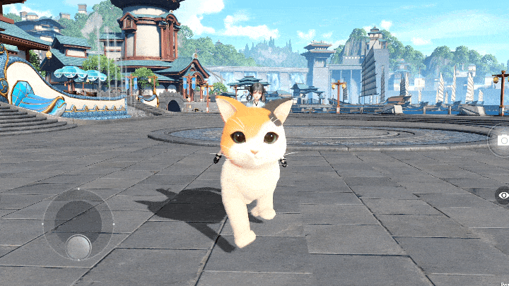 宫崎骏直呼内行天谕更新猫咪坐骑猫奴们疯狂了