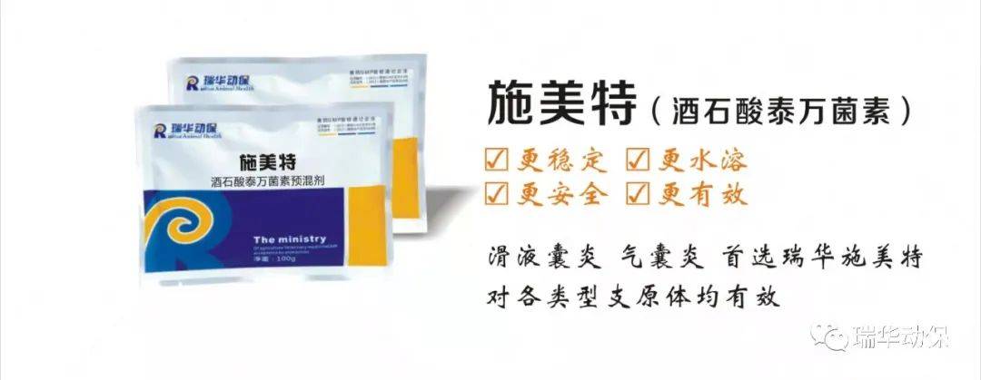 手机搜狐网