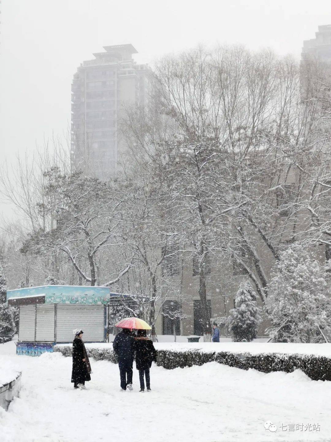 我去公司加班的路上,忍不住先去公园拍了好多雪景.