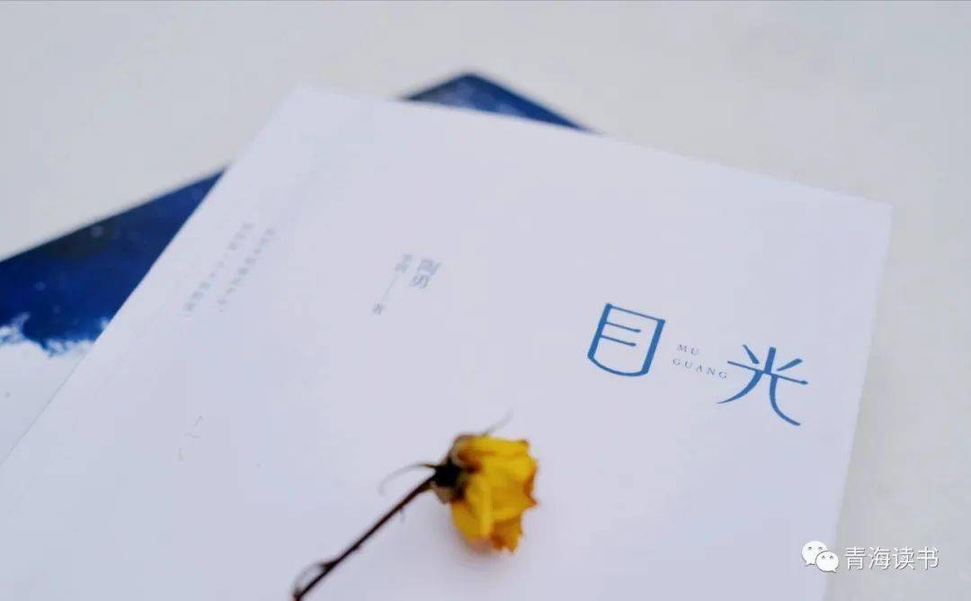 褚玲安专栏目光一幕光