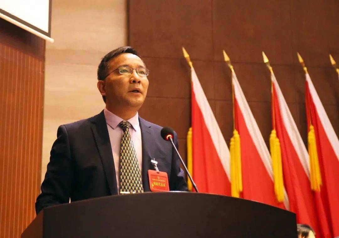 龙山镇第十七届人民代表大会第九次会议顺利召开