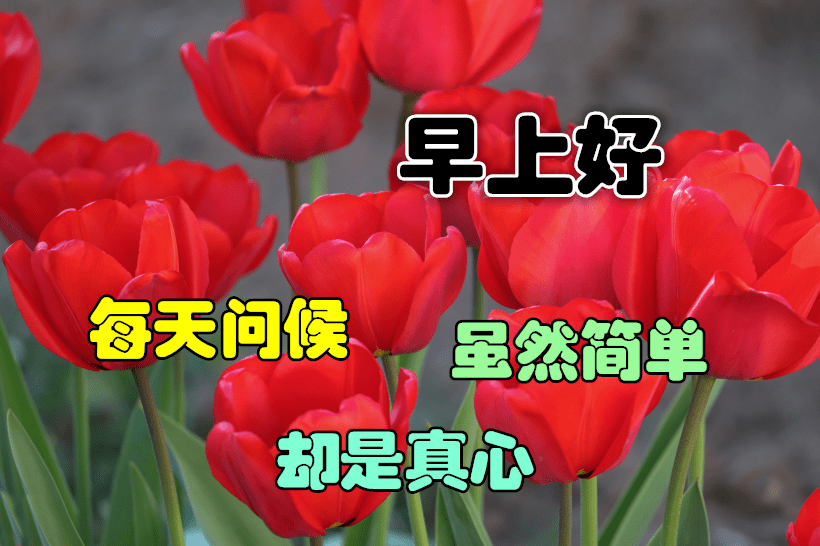 2021新年早晨图片,早晨图片2021新图片 2021新版朋友圈早晨好图片祝福,1月份新版早晨好表情好带图片
