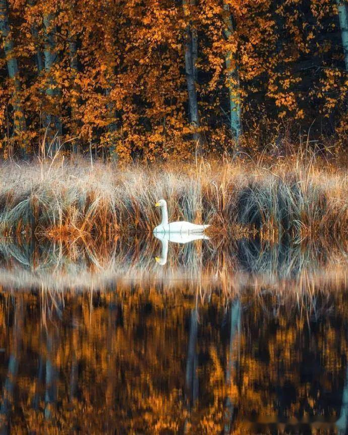 摄影作品欣赏·芬兰自然风光