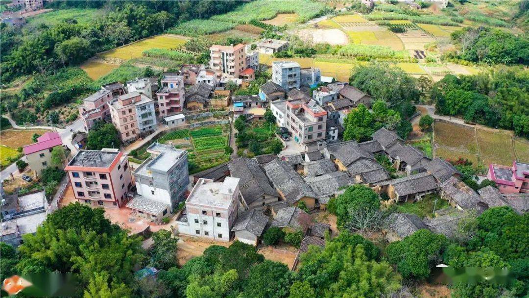 浦北县《美丽乡村·蜕变》第五集—龙门根竹塘"幸福村"