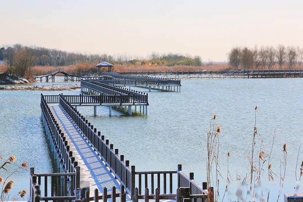 喜讯!今天泗洪洪泽湖湿地景区正式授牌为国家5a级旅游景区,宿迁唯一