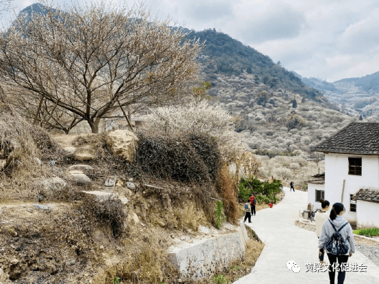 电(郑训焓 郑训恒)近日天气转暖,位于福建省福州市永泰县葛岭镇溪洋村