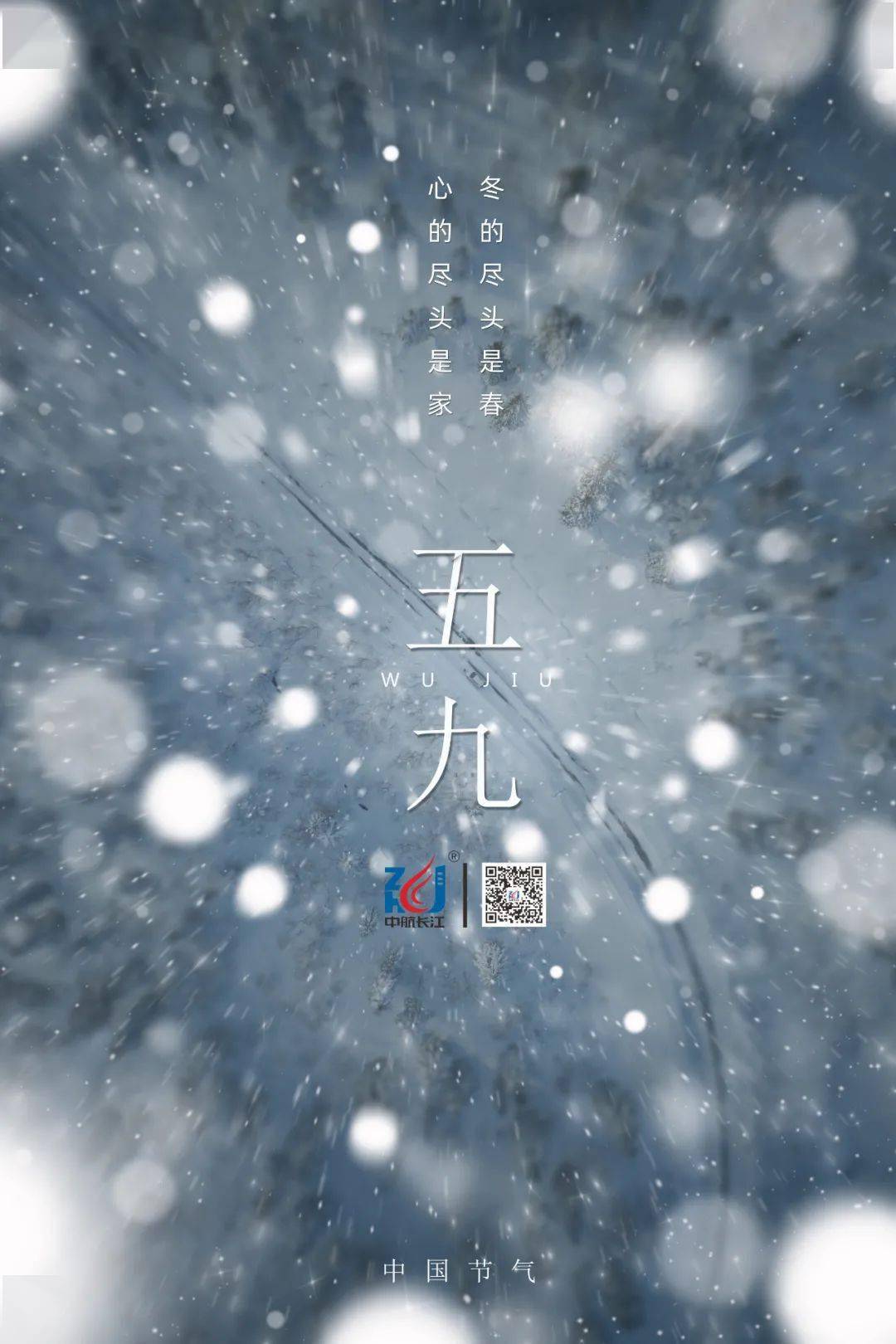 【节气特辑】五九六九,河边看柳