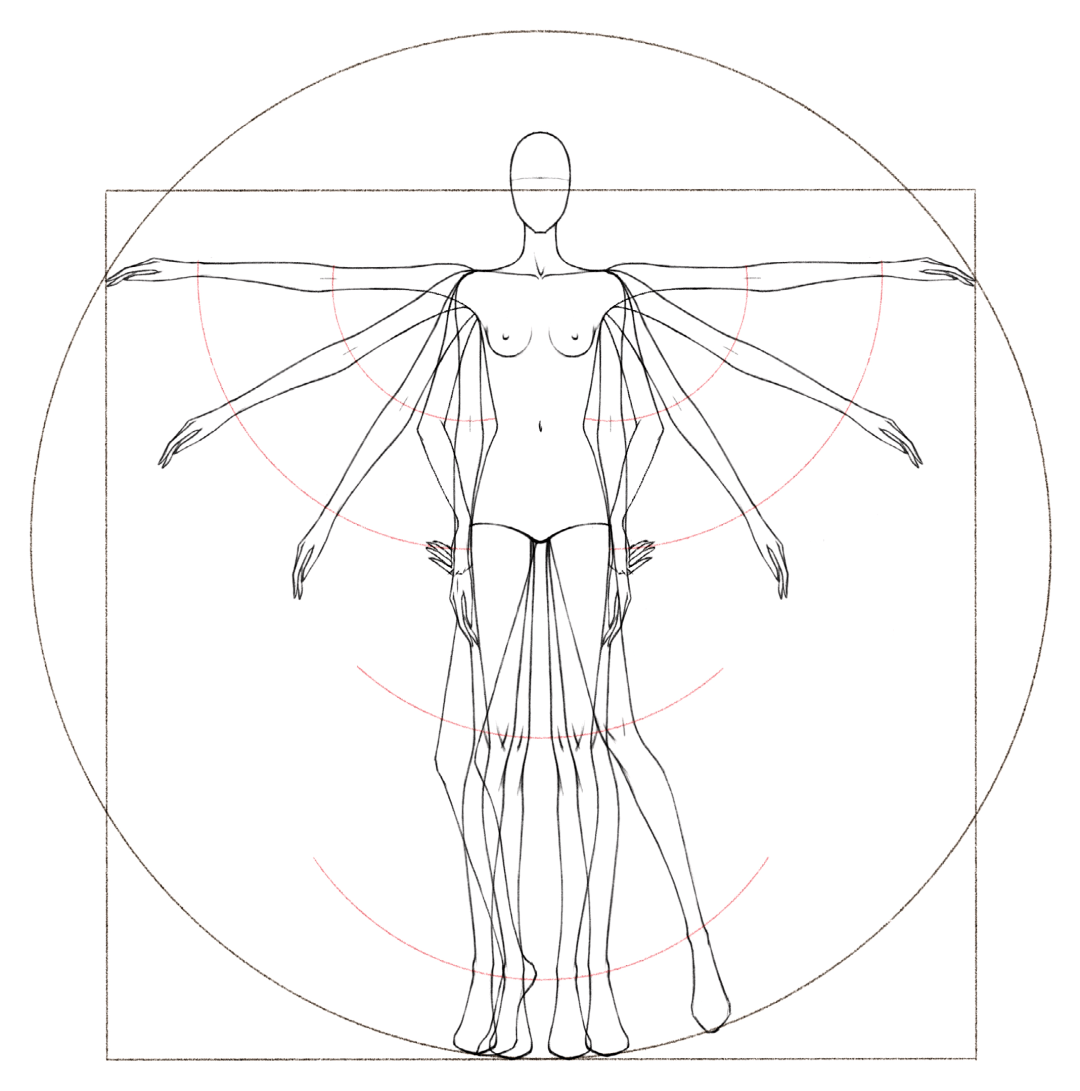 在同一平面中,人体各部位(如手臂和腿部)在运动中的长度比例是不变的.