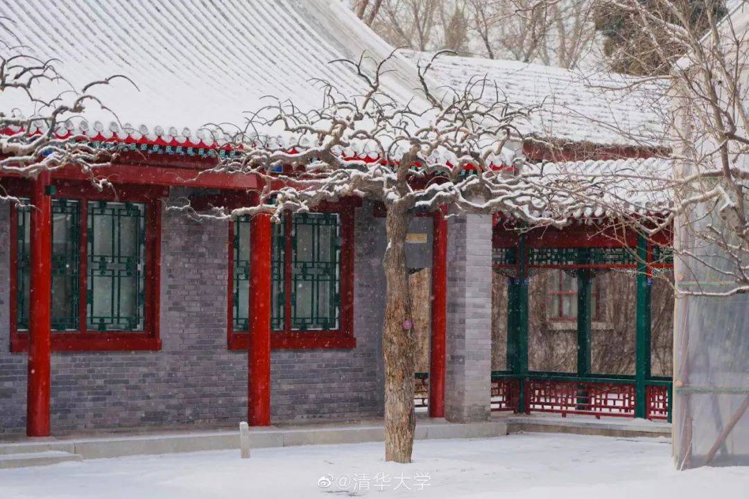 雪打春头 皎洁已满清华园清华大学最美的雪景,是在北大与你一起白首