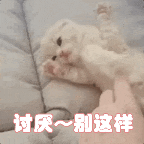 老外说