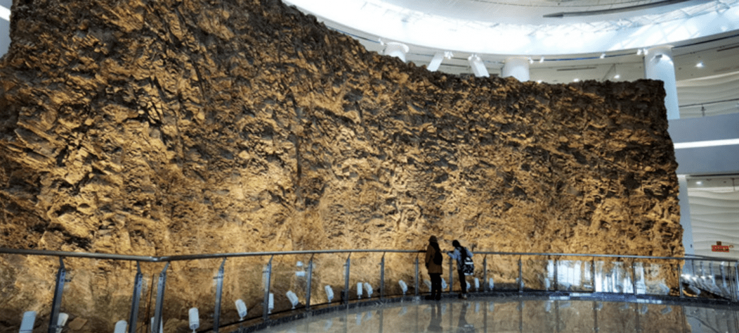 在澄江化石地自然博物馆一层,复原了一个化石发现的场景:1984年7月1