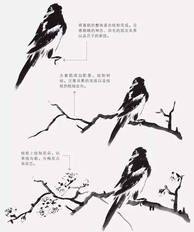 三种吉祥鸟的画法,值得收藏_喜鹊