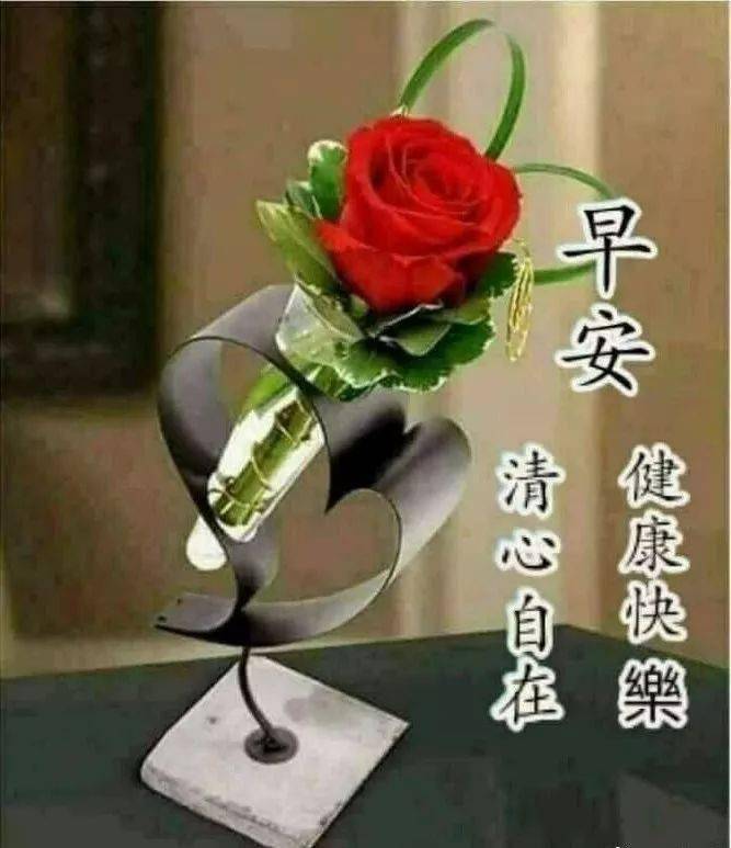 1月29日最漂亮早上好动态表情图片大全,早晨好美图