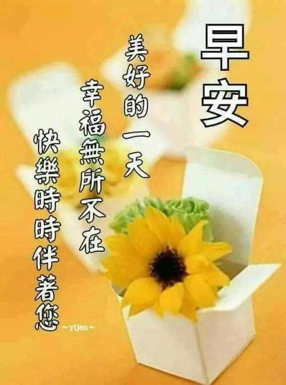 一朵花开,一个微笑,一缕阳光,一声问候,早安