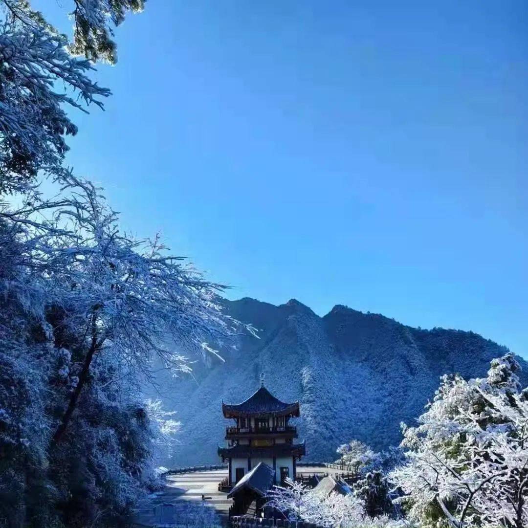 雪后初晴与阳光相拥武陵山的雪颜值巅峰