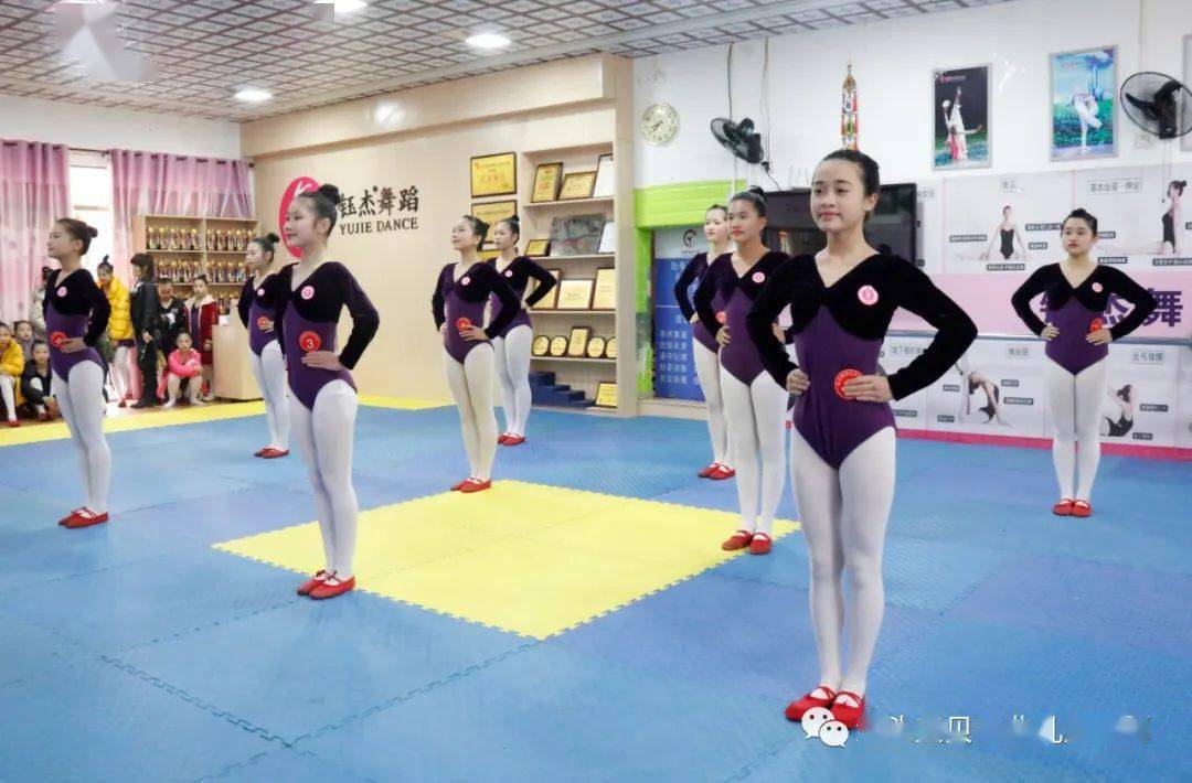 中国少年儿童发展服务中心社会艺术水平中国舞考级