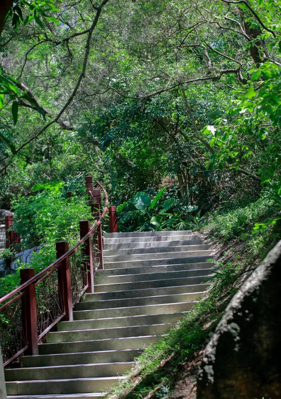 一些通往山上的登山径但不经意间你还是会发现燕晗山郊野公园没有明确