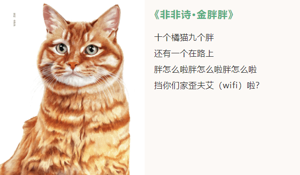 一代猫奴马未都