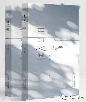 扶风籍青年作家马婷新书《十亩之间》出版