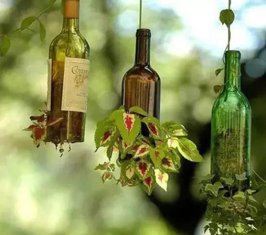 巧妙旧物改造 塑料瓶变身手工花盆_瓶子