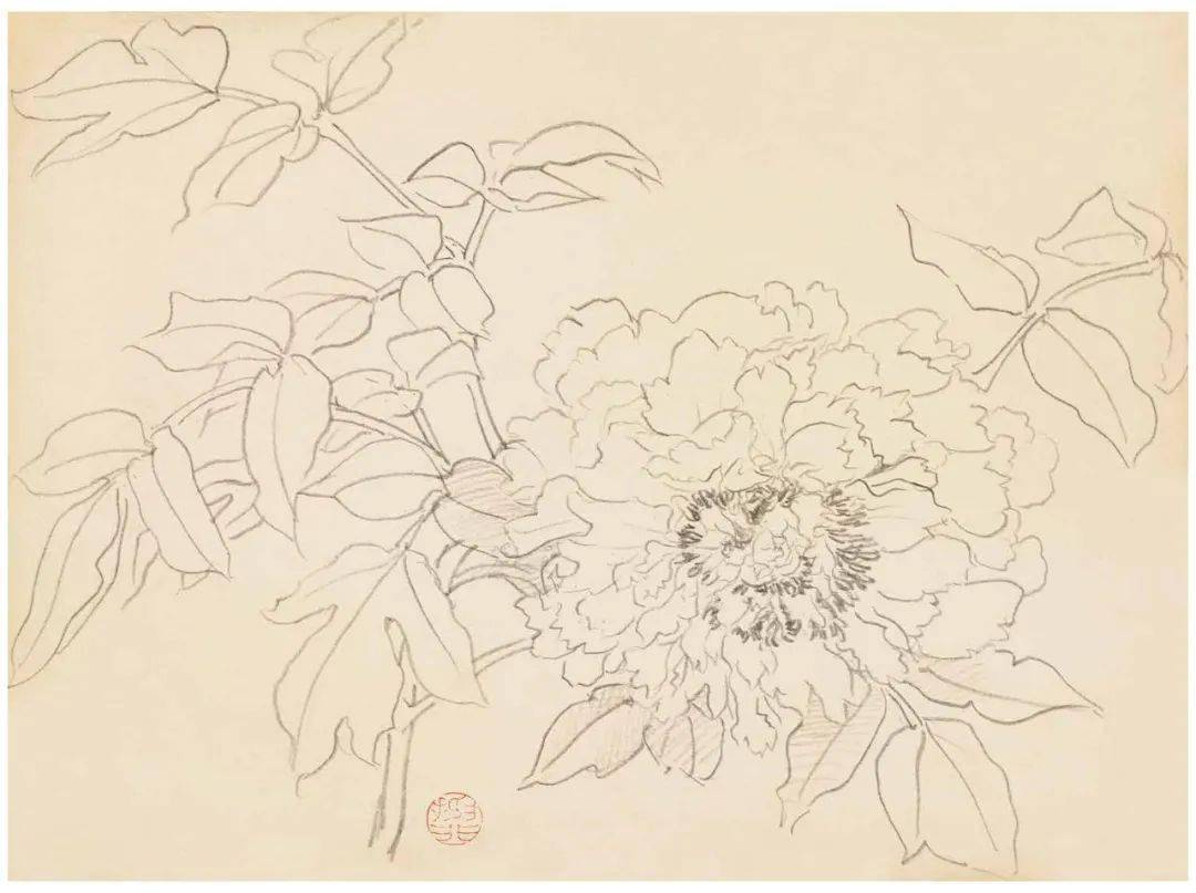 陆抑非白描花鸟课徒稿53图