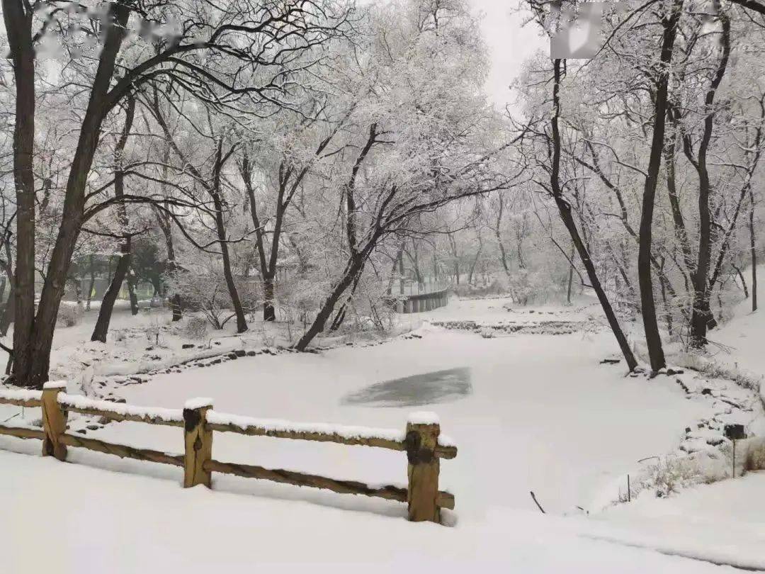 祥和度假庄园1月一定是雪的季节,但是北方有雪的地方实在太多了,几乎