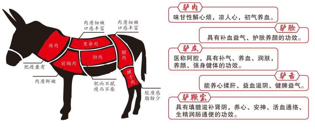 米易驴行家超值年夜饭驴肉汤锅5荤5素50瓶啤酒仅需388元