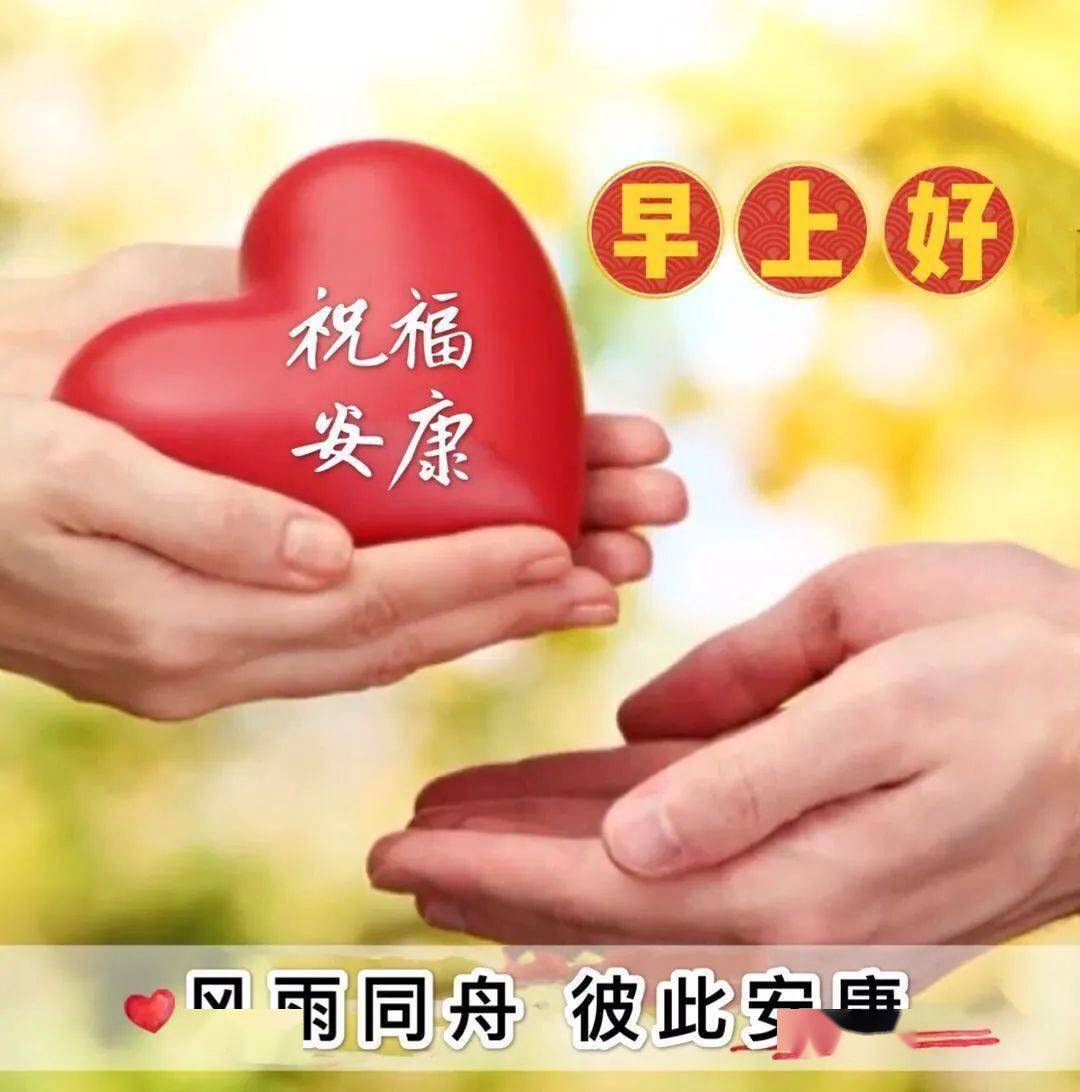 2021暖心祝福图片,早安心语2021最新暖心 2021朋友圈清晨暖心祝福问候图片,唯美鲜花早上好温馨