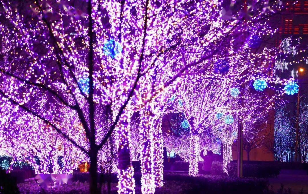 朝阳街头"上新" 一起看看今年的灯到底有多"