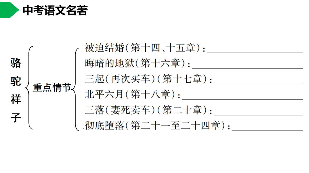 初中语文七下《骆驼祥子》名著导读 思维导图  考点合集,寒假预习必收