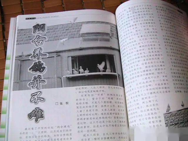 当空间不够大时,少养两只就行了……家人的支持是阳台养鸽成功的决定