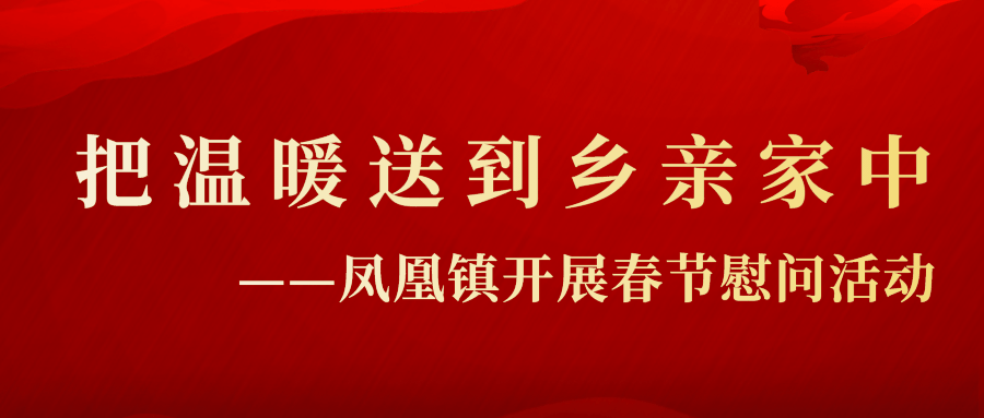 分包凤凰镇的县领导,镇领导,帮扶责任人到辖区各村进行走访慰问,为