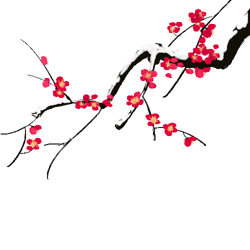 梅与雪