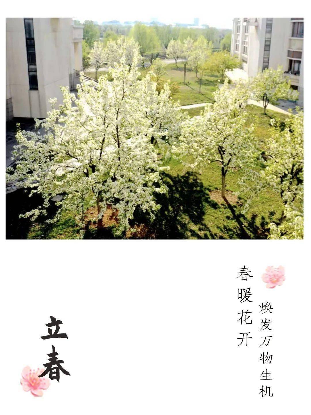 立春,春回临大_城市