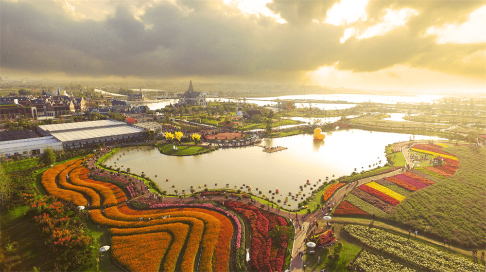 2021,开启荷兰花海浪漫之旅!