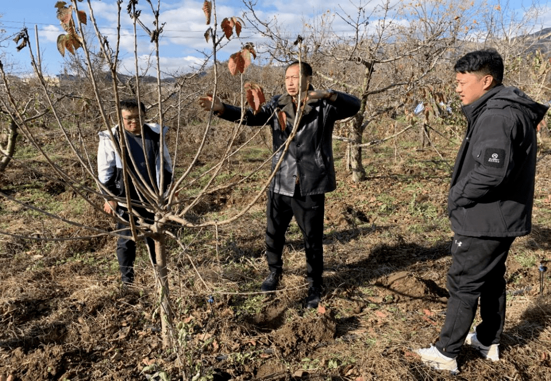 家里来了工作队!_招远市