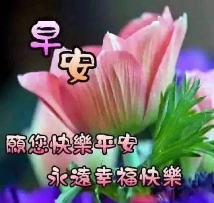 开心愉快早安精选早上好温馨祝福图片 冬天早安问候暖