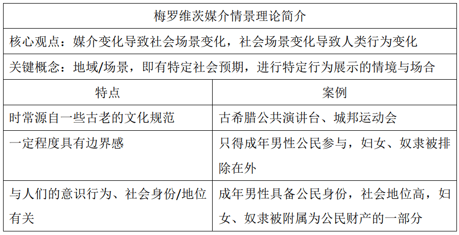 成长于20世纪后期,目睹电视等新兴媒介及第二波女权运动崛起,梅罗维茨