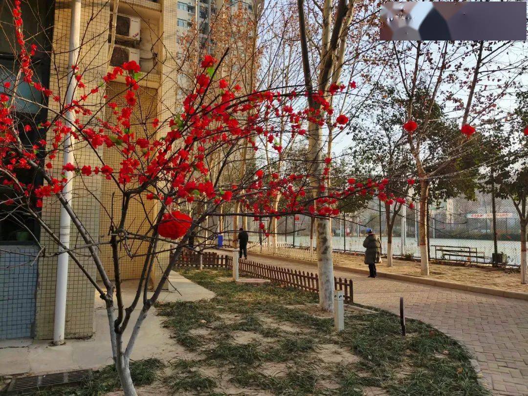【郑州格力年味】稳稳的幸福,暖暖的生活区