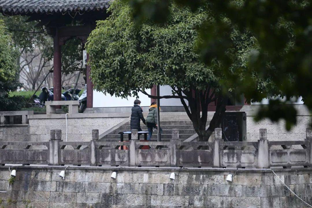【绍兴·图说】冬日稽山园