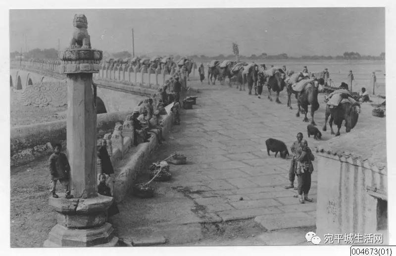 难得一见的1931年宛平城老照片,一起回顾更多丰台老照片!