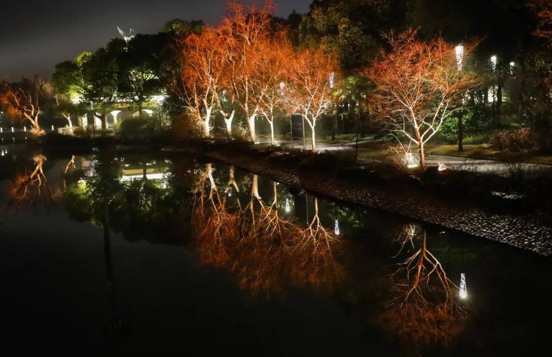 思贤公园绚丽灯光上线!松江夜景打卡添新地标_景观